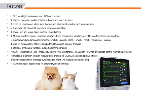VE12 12.1 Inch Portable Veterinary Monitor Ecg Monitor Yonker 2 Hour 3 Level Audio/visual Alarm Veterinary Monitoring Instrument