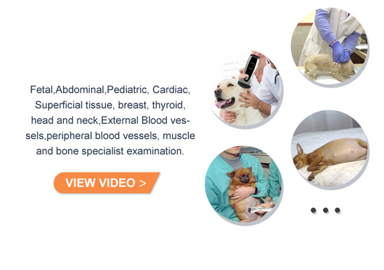 Yonker Pocket Veterinary Ultrasound Scanner Portable Handheld WiFi Color Wireless Ultrasound Probe Vet for Animal Cat Pet Dog