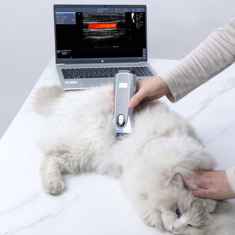 Wifi Yonker Double Probe Mini Handheld Cow Pet Animal & Portable Machine Vet Veterinary Ultrasound Scanner Monitor
