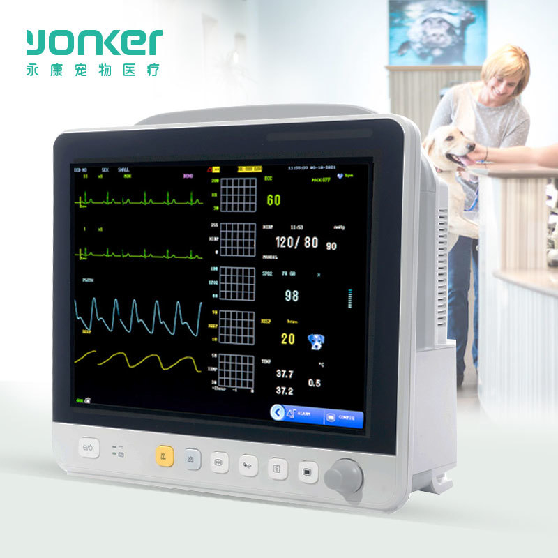 VE12 12.1 Inch Portable Veterinary Monitor Ecg Monitor Yonker 2 Hour 3 Level Audio/visual Alarm Veterinary Monitoring Instrument